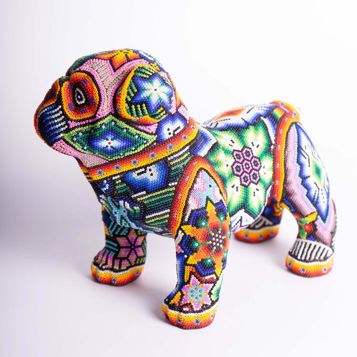 Dog Huichol Hound | Huichol Hound | Ikal Cultura LLC