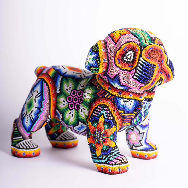 Dog Huichol Hound | Huichol Hound | Ikal Cultura LLC