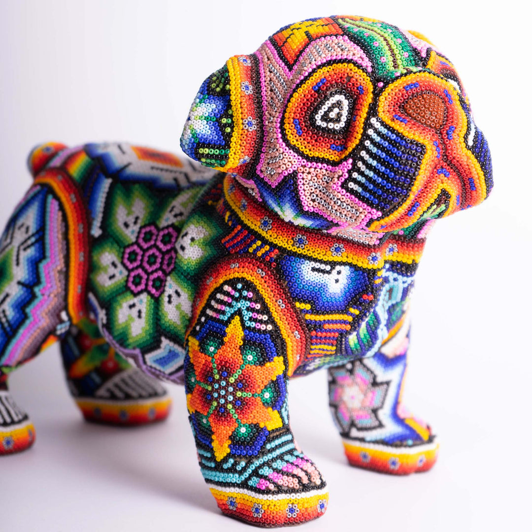 Dog Huichol Hound | Huichol Hound | Ikal Cultura LLC