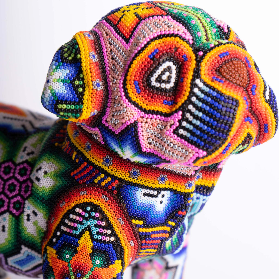 Dog Huichol Hound | Huichol Hound | Ikal Cultura LLC