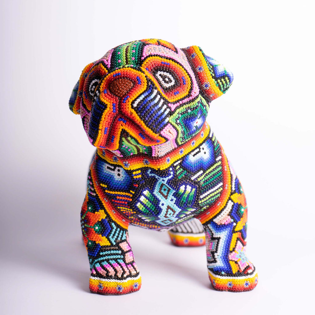 Dog Huichol Hound | Huichol Hound | Ikal Cultura LLC