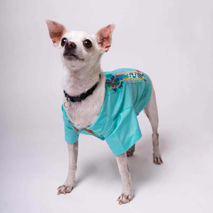 Mexican Dog T-Shirt | Dog Mexican T-Shirt | Ikal Cultura LLC