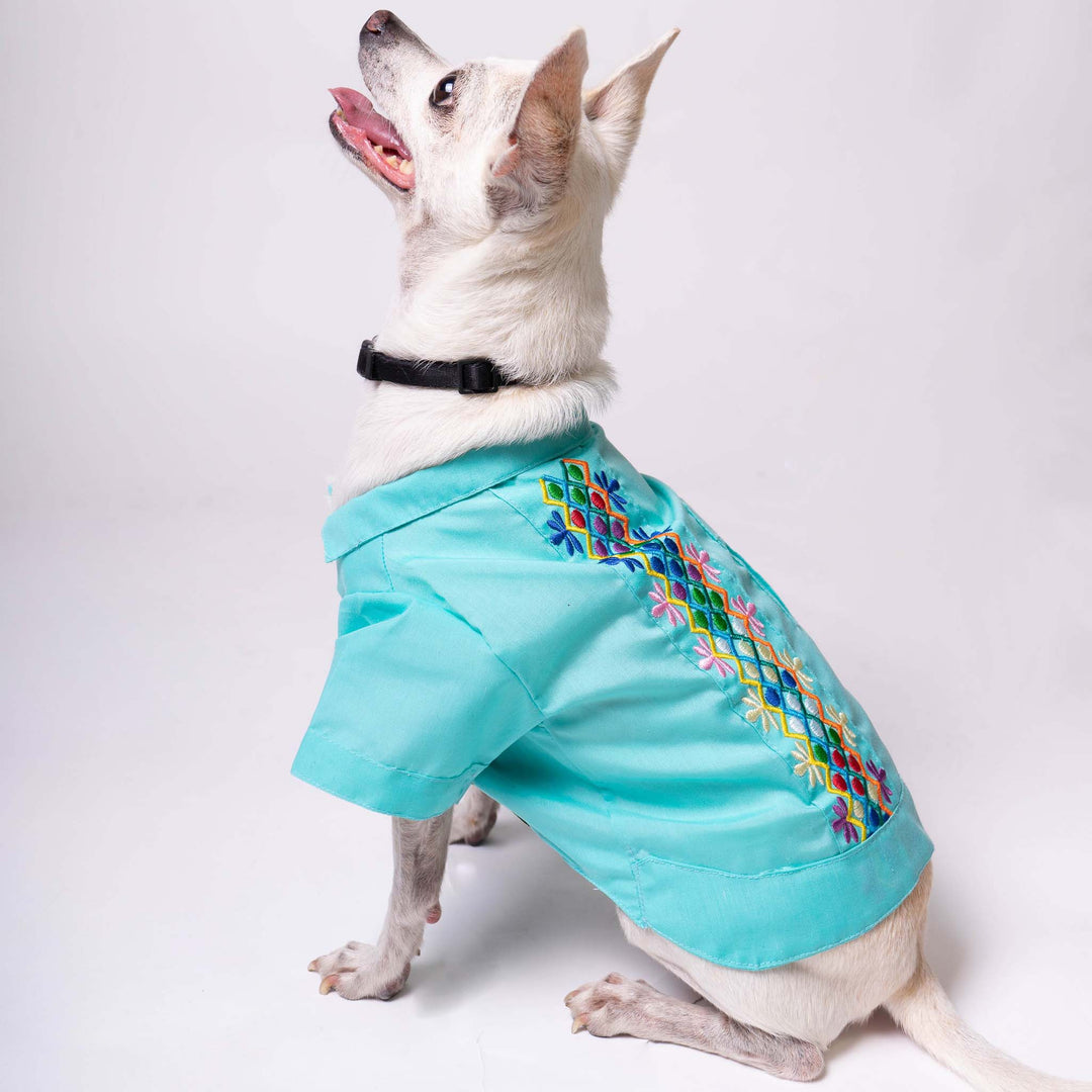 Mexican Dog T-Shirt | Dog Mexican T-Shirt | Ikal Cultura LLC