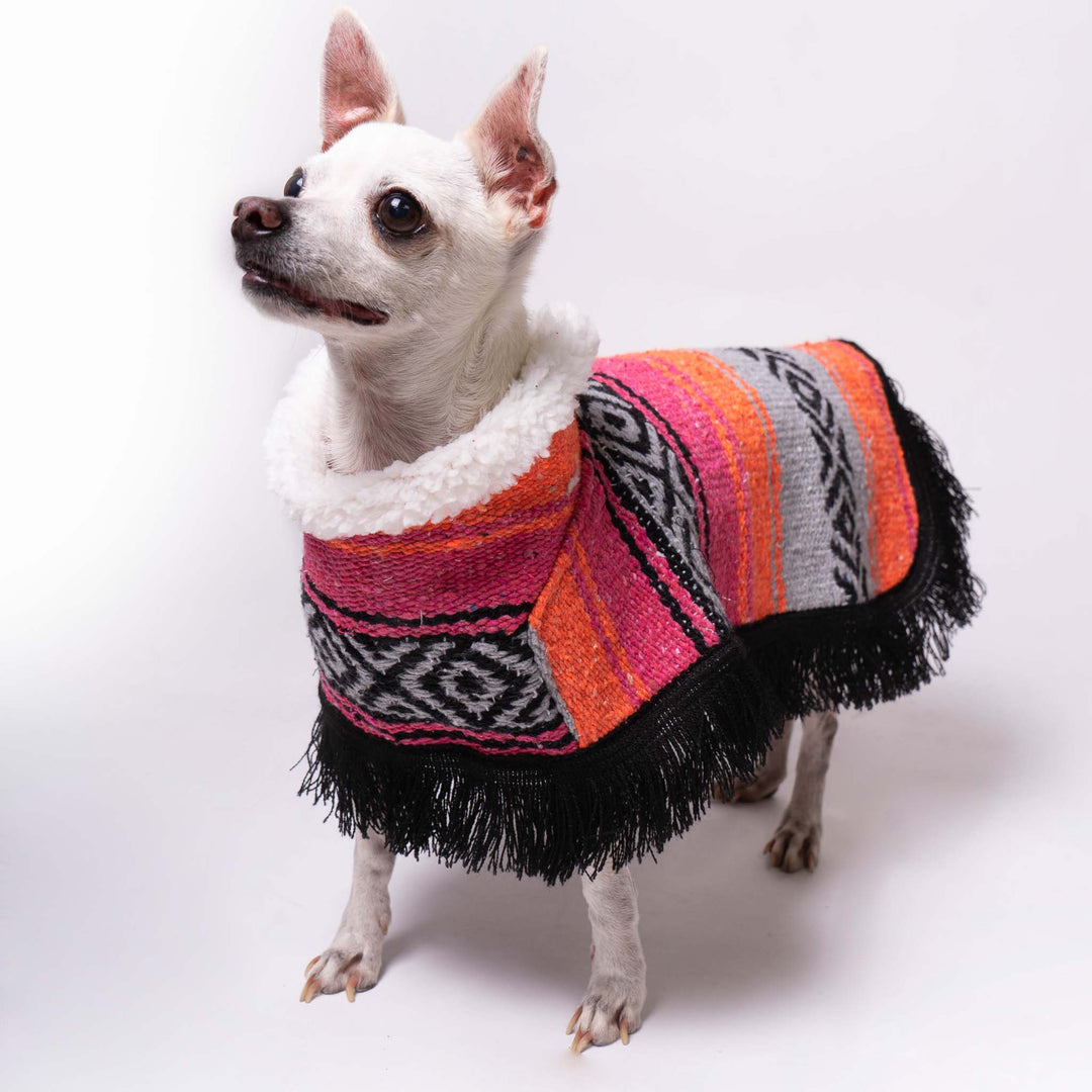 Jorongo Joy Poncho | Dog Jorongo Joy Poncho  | Ikal Cultura LLC