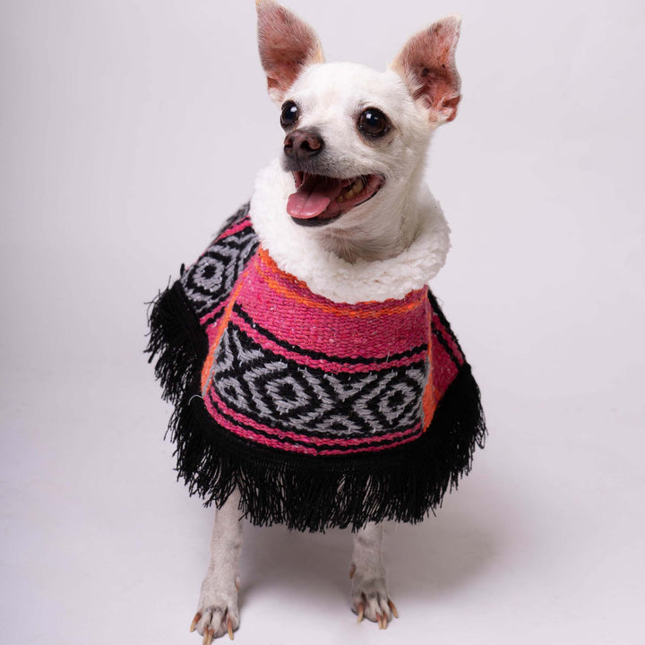 Jorongo Joy Poncho | Dog Jorongo Joy Poncho  | Ikal Cultura LLC