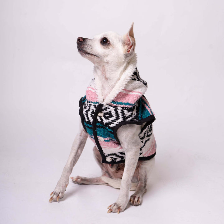 Dog Sarape Serenity | Sarape Serenity | Ikal Cultura LLC