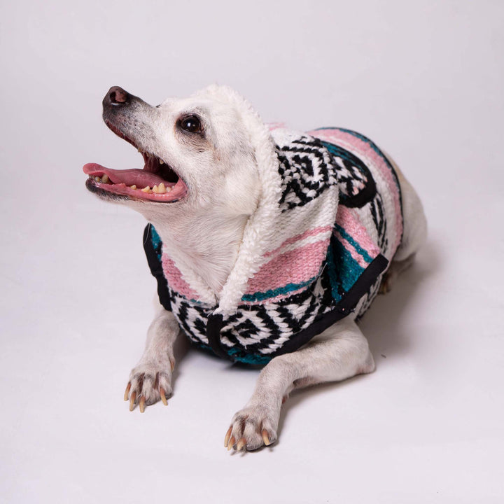 Dog Sarape Serenity | Sarape Serenity | Ikal Cultura LLC