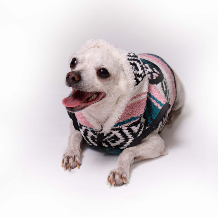 Dog Sarape Serenity | Sarape Serenity | Ikal Cultura LLC