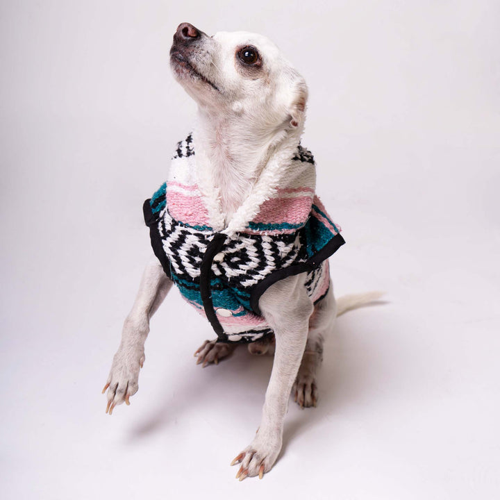 Dog Sarape Serenity | Sarape Serenity | Ikal Cultura LLC