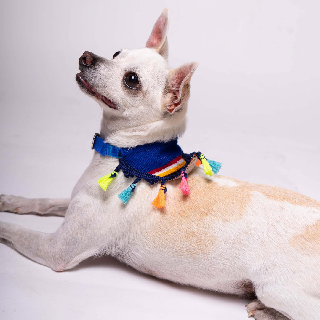 Pet Banderita Bandana | Banderita Bandana | Ikal Cultura LLC