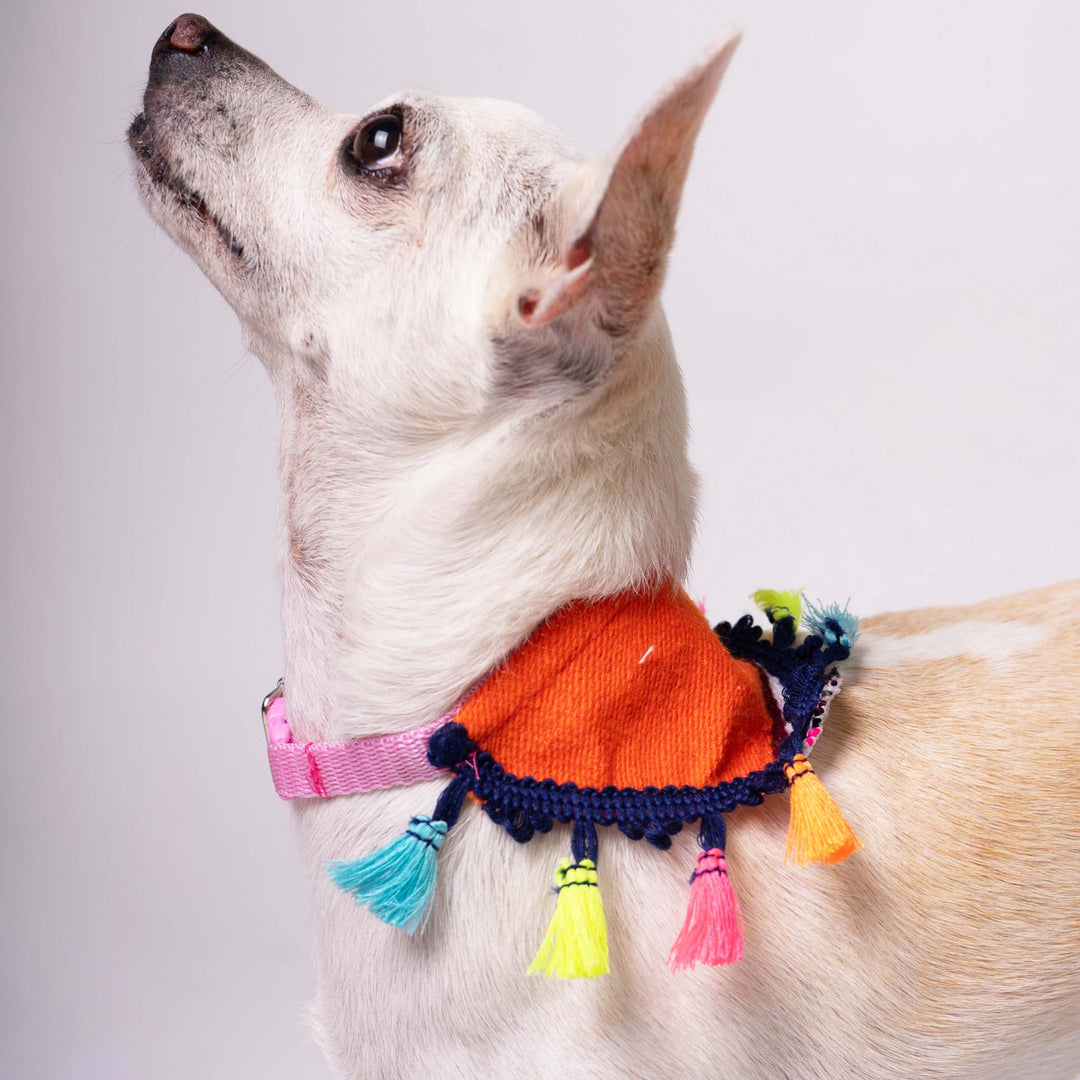 Pet Banderita Bandana | Banderita Bandana | Ikal Cultura LLC