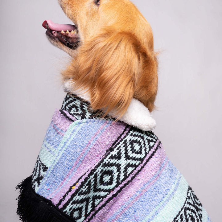 Jorongo Joy Poncho | Dog Jorongo Joy Poncho  | Ikal Cultura LLC