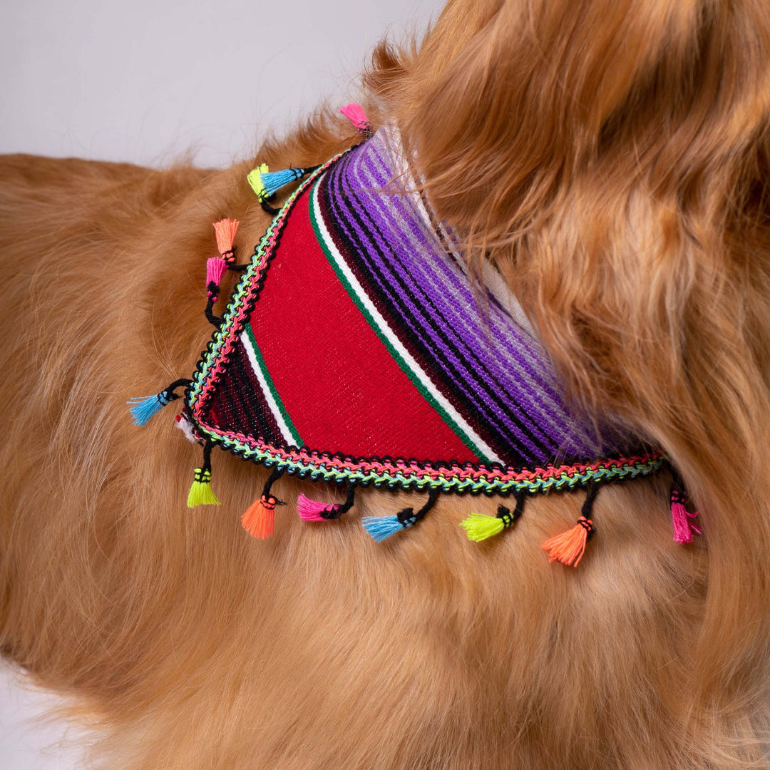 Pet Banderita Bandana | Banderita Bandana | Ikal Cultura LLC