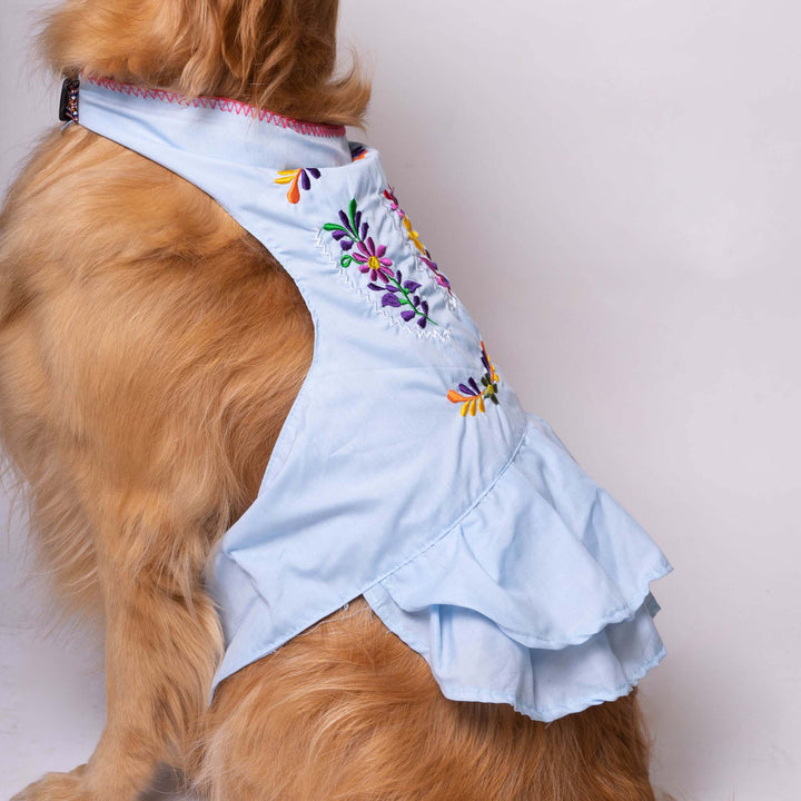 Pet Fiesta Dress | Fiesta Dress| Ikal Cultura LLC