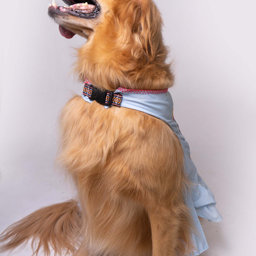 Pet Fiesta Dress | Fiesta Dress| Ikal Cultura LLC