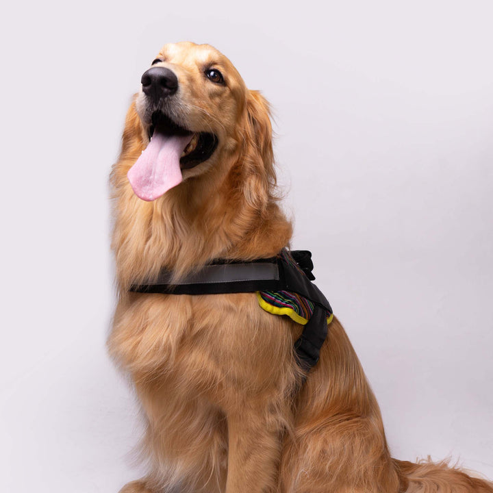 Pet Folklore Harness | Folklore Harness | Ikal Cultura LLC