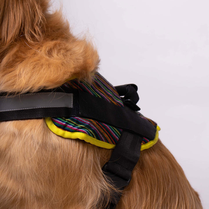 Pet Folklore Harness | Folklore Harness | Ikal Cultura LLC