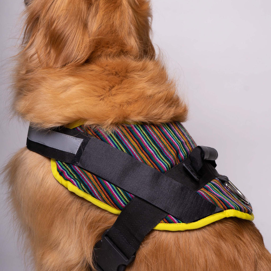 Pet Folklore Harness | Folklore Harness | Ikal Cultura LLC