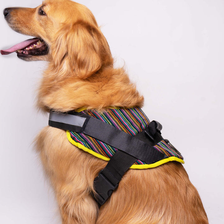 Pet Folklore Harness | Folklore Harness | Ikal Cultura LLC