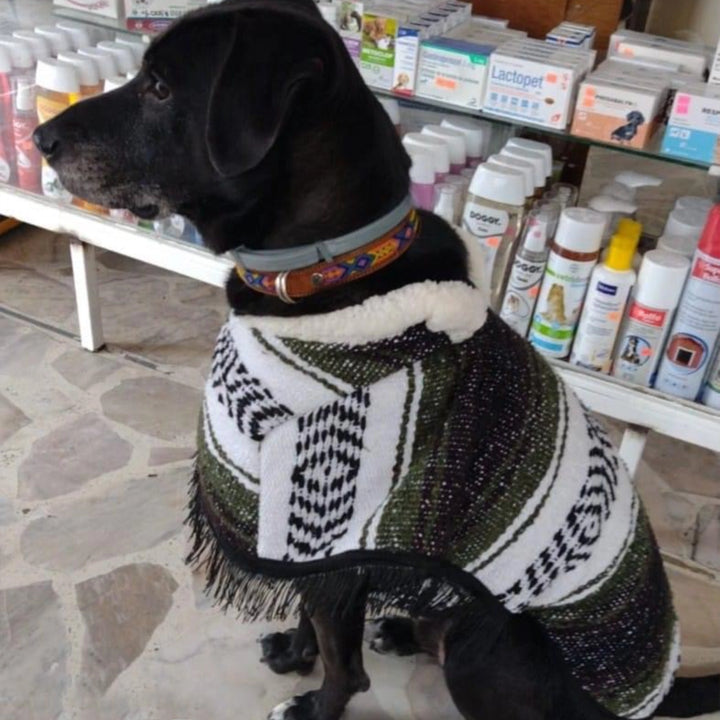 Jorongo Joy Poncho | Dog Jorongo Joy Poncho  | Ikal Cultura LLC