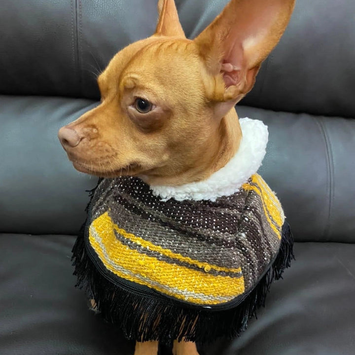 Jorongo Joy Poncho | Dog Jorongo Joy Poncho  | Ikal Cultura LLC